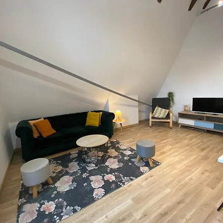 Le Colibri, Spacieux T2 Bis Avec Mezzanine, Calme Et à Appartement Poitiers
