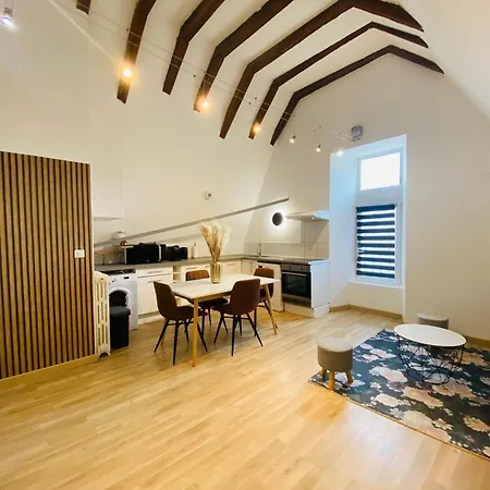 Appartement Le Colibri, Spacieux T2 Bis Avec Mezzanine, Calme Et à Poitiers